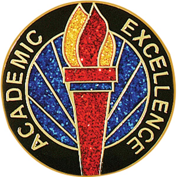 Academic Excellence Award Pin - Glitter Torch | Anderson's