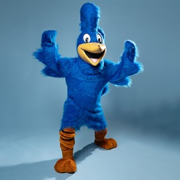 Roadrunner Mascot Costume