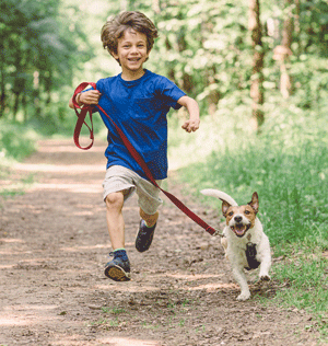 dog walk-a-thon fundraiser idea