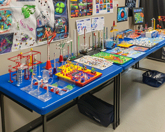 organize an elementary school science fair